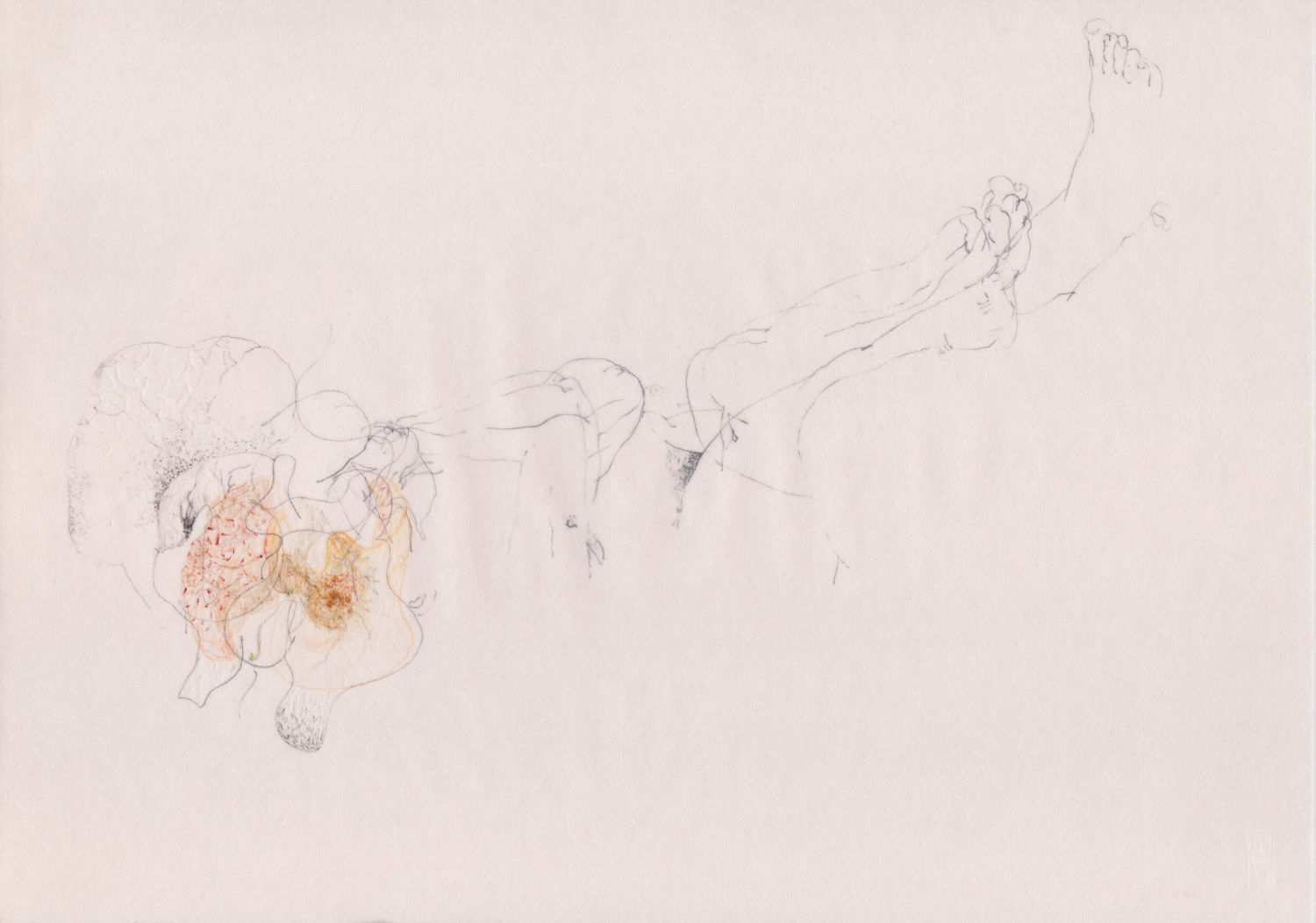 Untitled © Ana Maria Asan Artist Ana Maria Asan | Drawings | Braam Art Restauration & Gallery | Exhibition Transparences