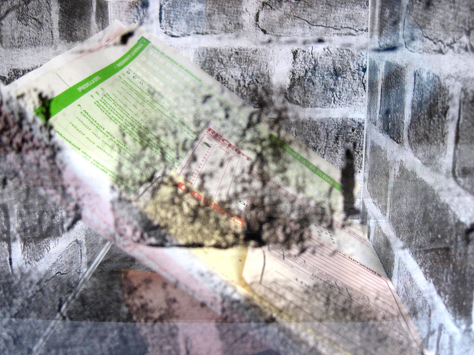 Kafka In My Mind (Walls Series) © Ana Maria Asan Ana Maria Asan Glass Works
