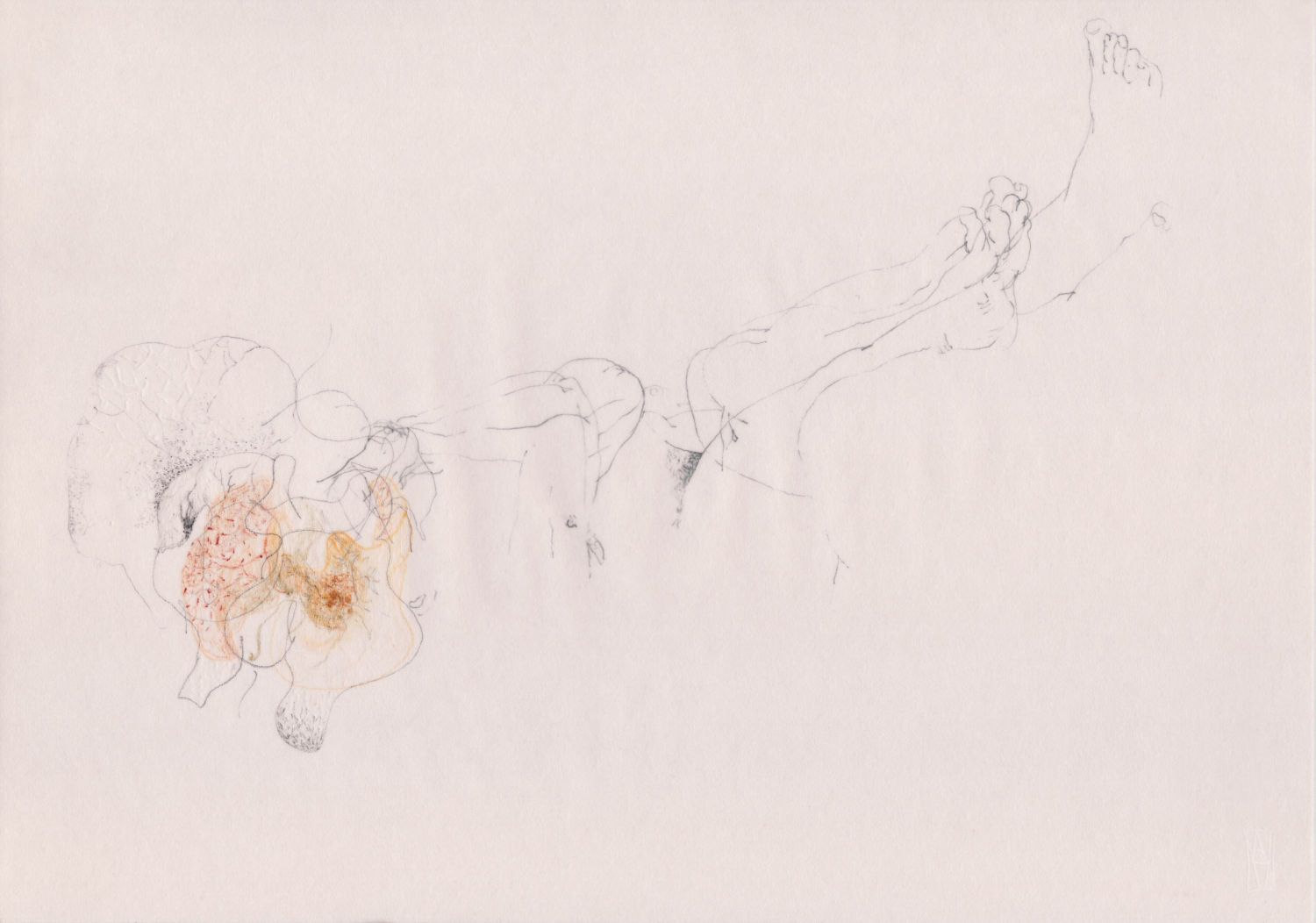 Untitled © Ana Maria Asan Artist Ana Maria Asan | Drawings | Braam Art Restauration & Gallery | Exhibition Transparences