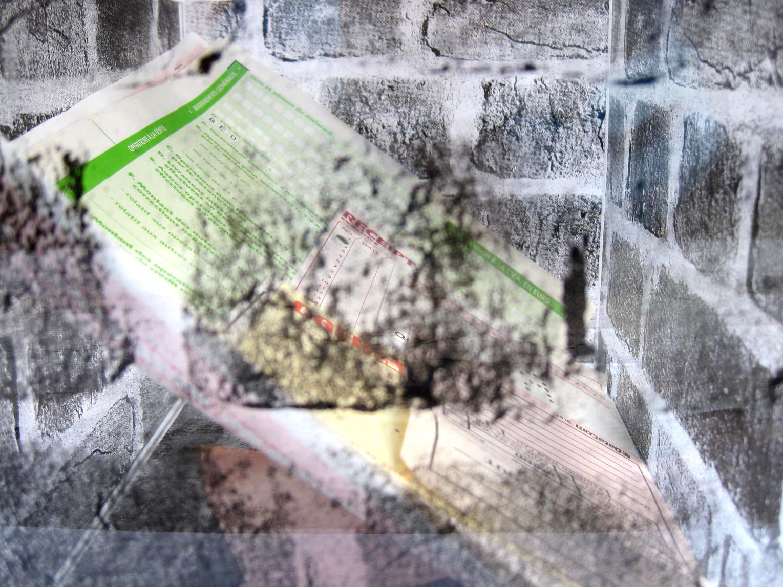 Kafka In My Mind (Walls Series) © Ana Maria Asan Ana Maria Asan Glass Works